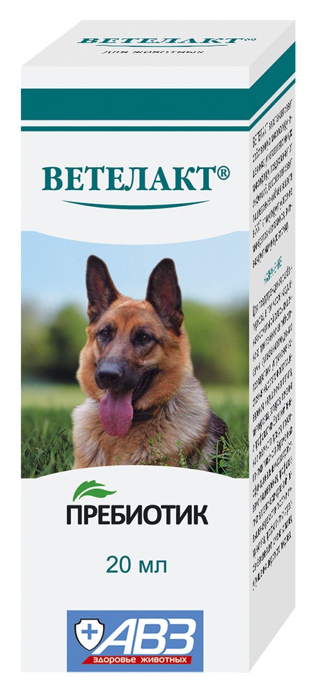Ветелакт, 20 мл
