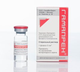 Гамапрен, 5 мл