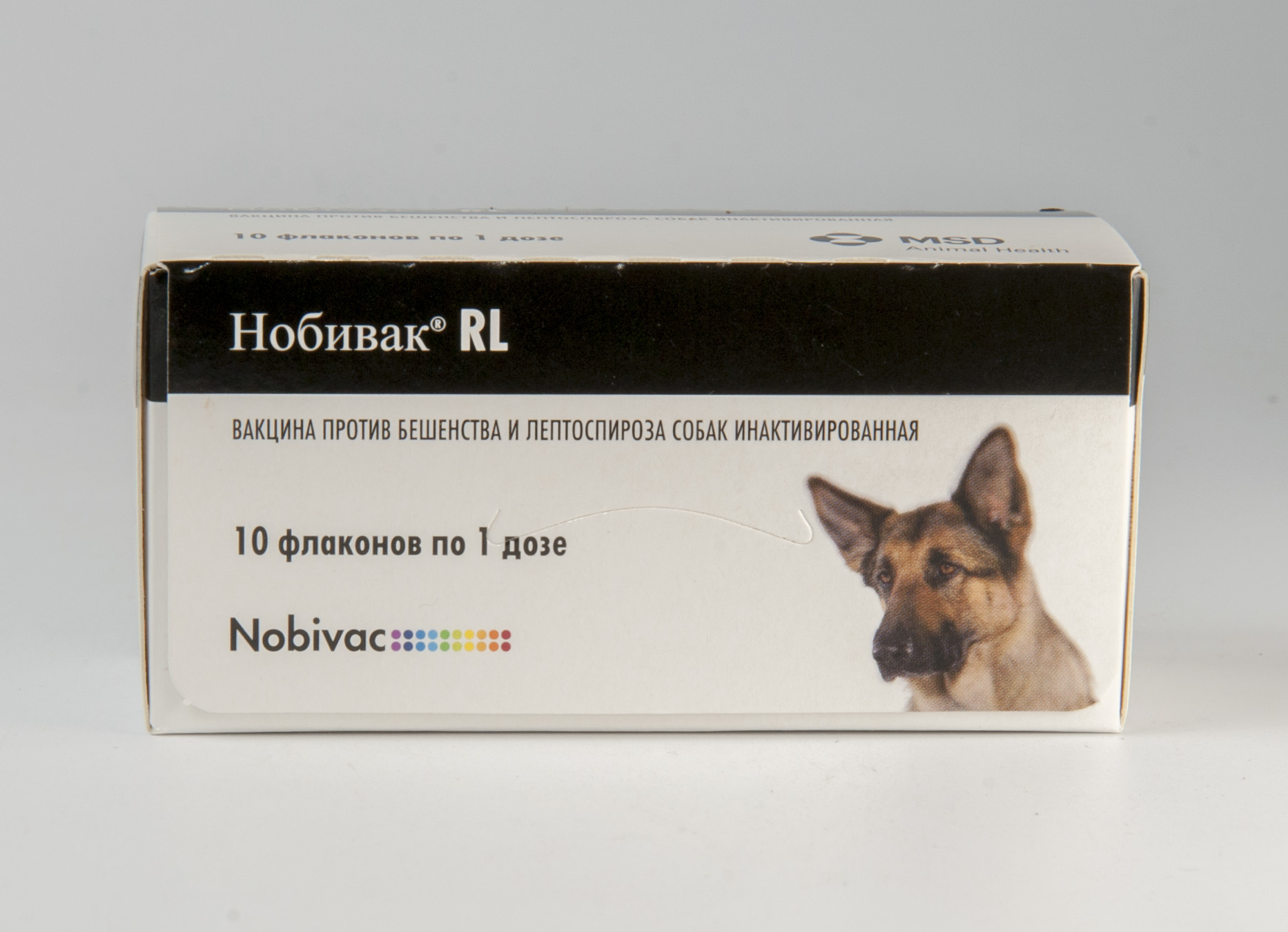 Вакцина от бешенства купить москва. Вакцина для собак Nobivac. Вакцинация собак препараты Нобивак и. Вакцинация от лептоспироза собак. Нобивак с лептоспирозом для собак.